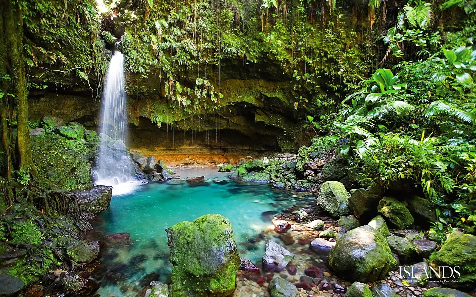 Dominica Citizenship by Investment