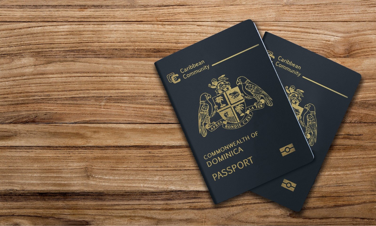 How Can a Dominican Passport Change Your Fate and Life?