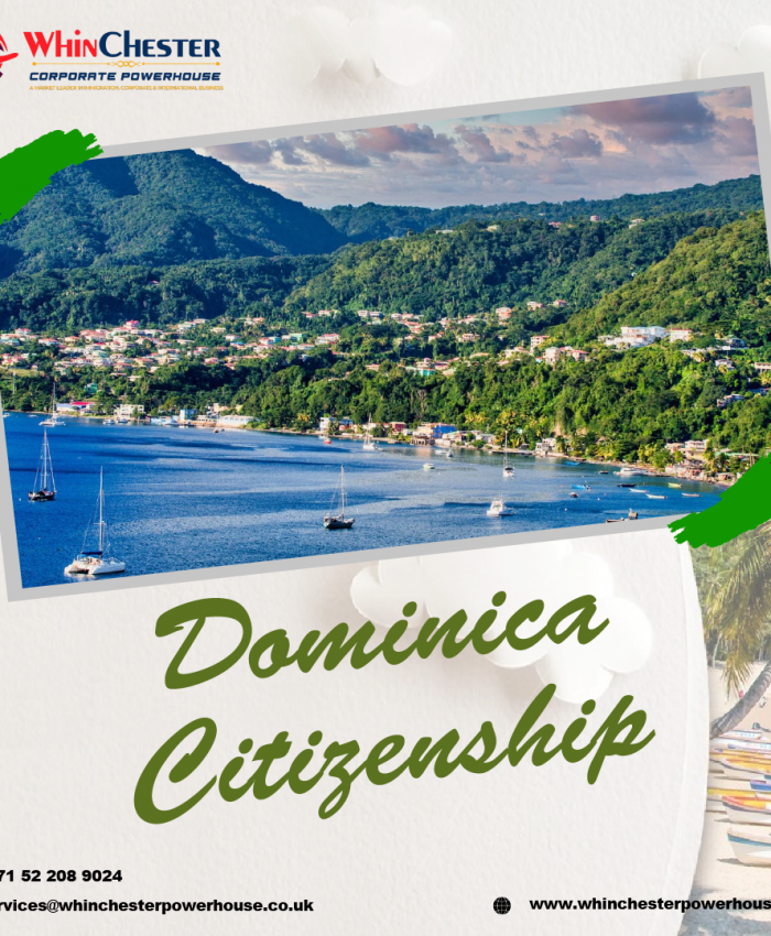 This Is How You Can Launch a Business in Dominica Right Away